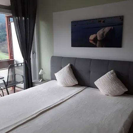 Apartament Ferienunterkunft Berg-panorama Bad Peterstal-Griesbach